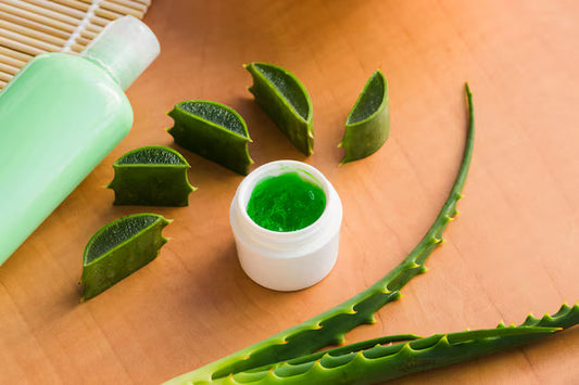 Aloe vera 